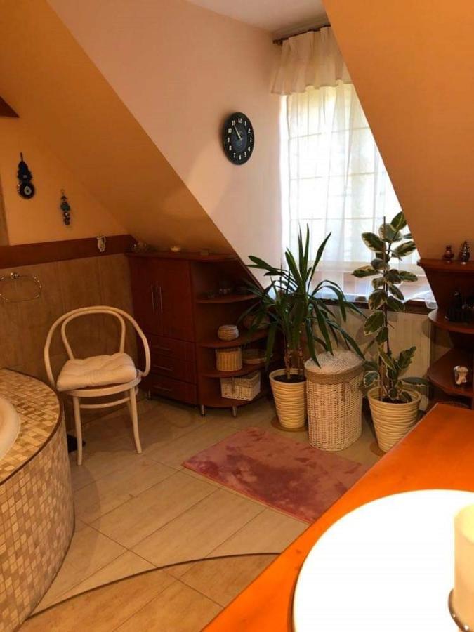 Willa Nad Popradem Bed & Breakfast Piwniczna-Zdroj Eksteriør bilde