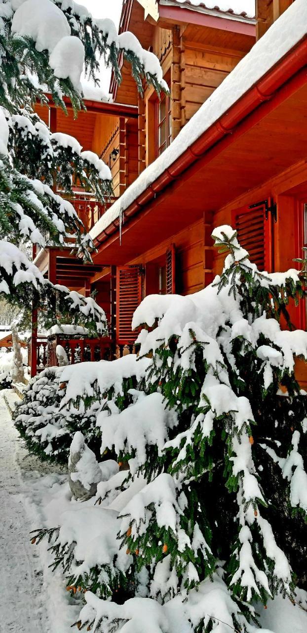 Willa Nad Popradem Bed & Breakfast Piwniczna-Zdroj Eksteriør bilde